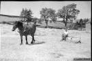 Lucie Hinson - Farming